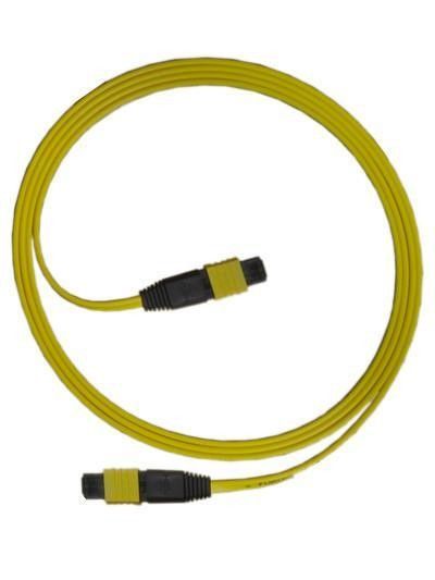 CAT MV / Computer Networks के लिए SM MTP 24 Core Fiber Optic Cable Fan Out टाइप